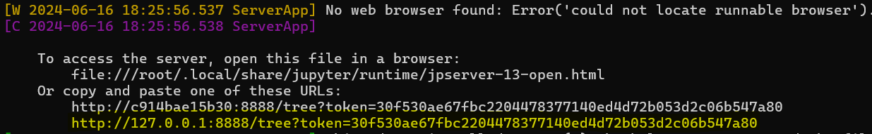 ../_images/jupyter_token.png